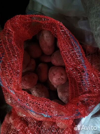 Продам картофель с доставкой