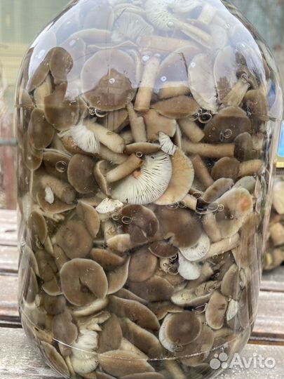 Сушеные и маринованные грибы