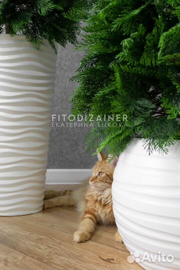 Искусственное дерево Туя, бонсай