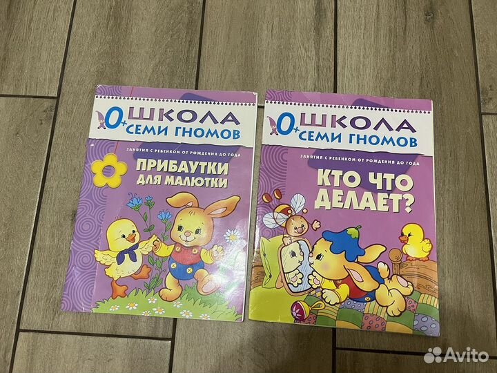 Школа семи гномов