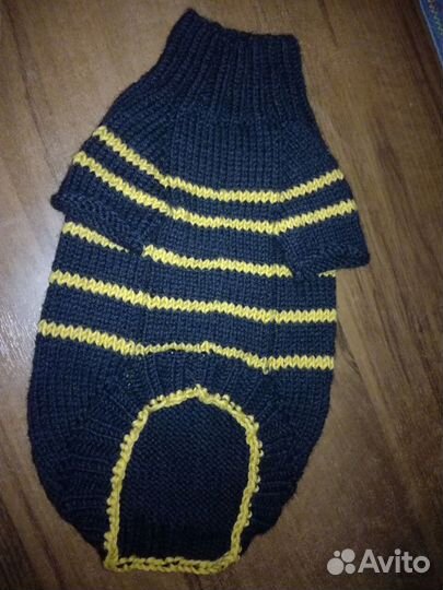 Одежда для животных