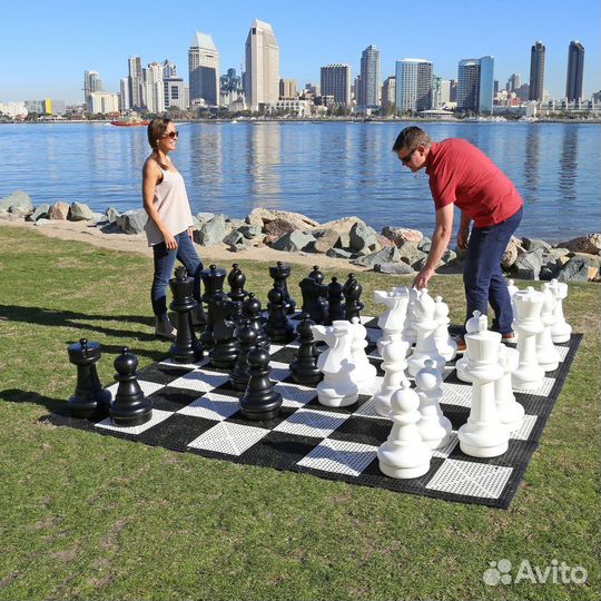 Тренер по шахматам