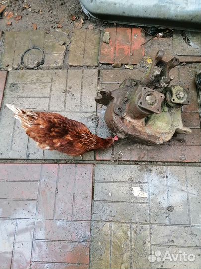 Раздатка газ 69