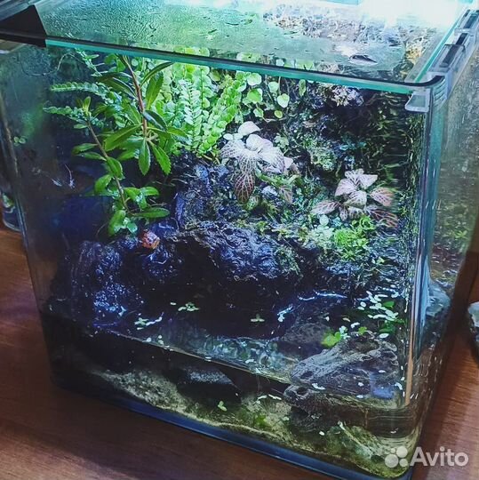 Чистка аквариума, дизайн, переезд, установка