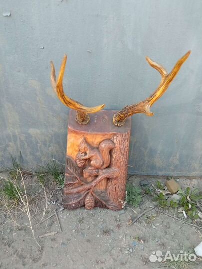 Рога горного козла