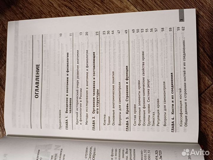 Анатомия и физиология человека