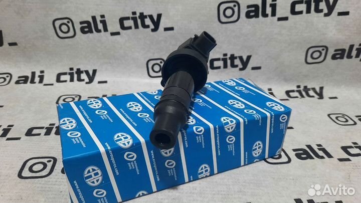 Катушка зажигания Солярис Era