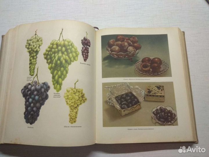 Кулинария 1955