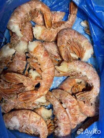 Креветки лангустины без головы C1 Аргентина