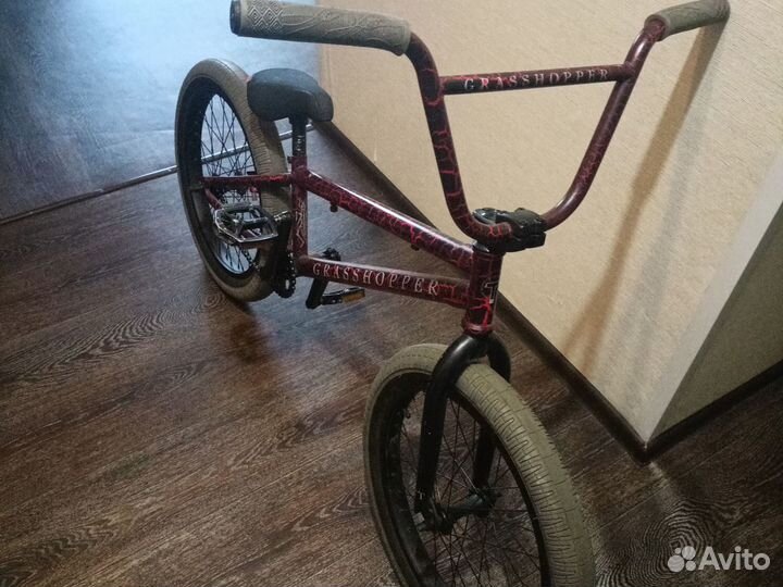 BMX TT grasshopper