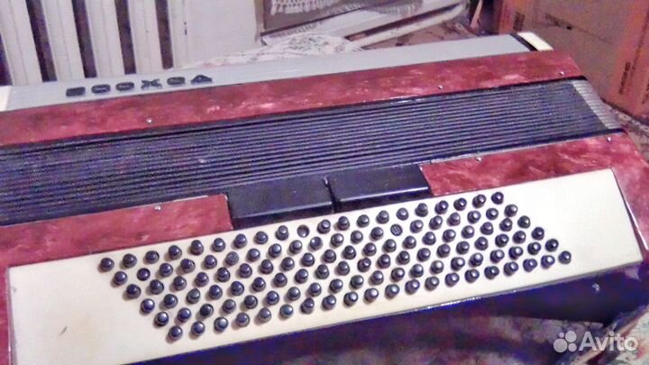 Аккордеон Восход