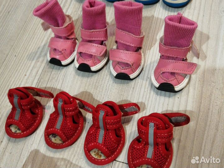 Обувь для маленьких собак