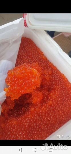 Икра красная