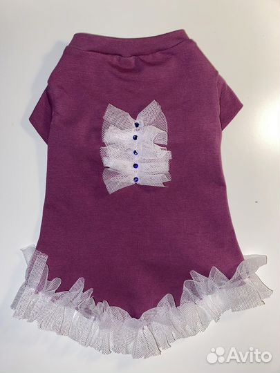 Одежда для собак