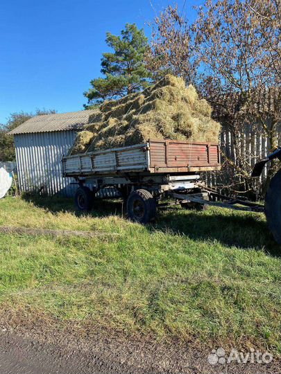 Сено в тюках