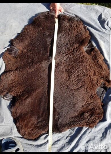 Шкуры овчины