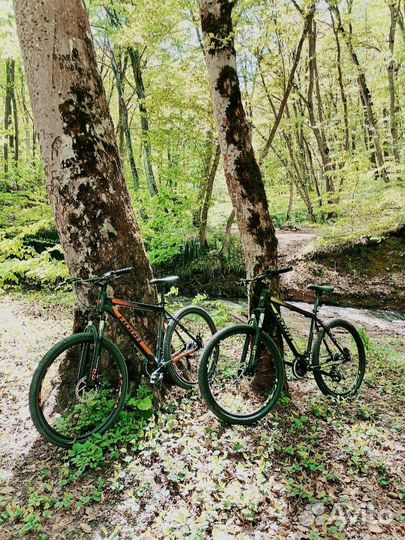 Horh forest FHD 7.0 27.5