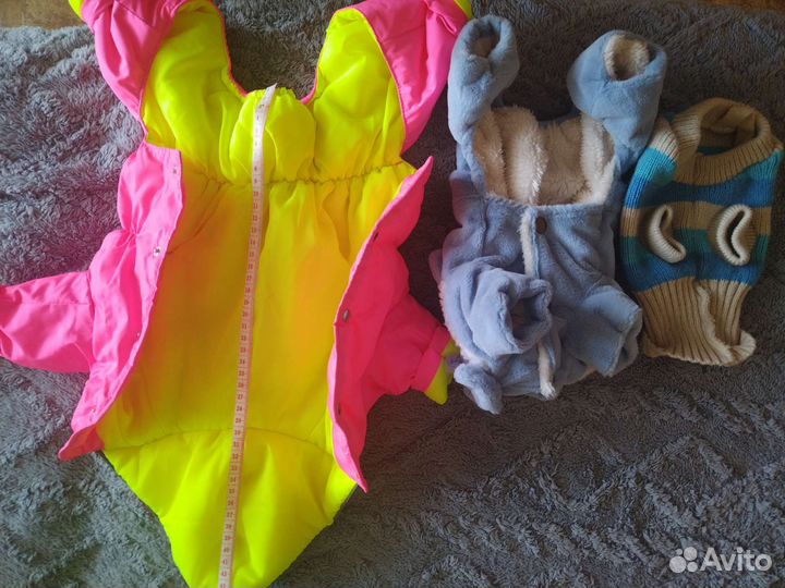 Одежда для маленьких собак