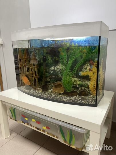 Аквариум