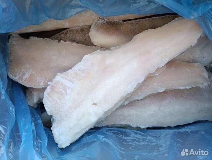 Новинка Филе судака на коже 400+ с/м
