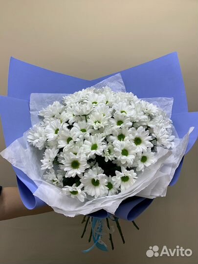 Гигант из хризантем. Доставка цветов Вологда