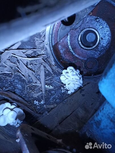 Корпус бортовой балочного моста