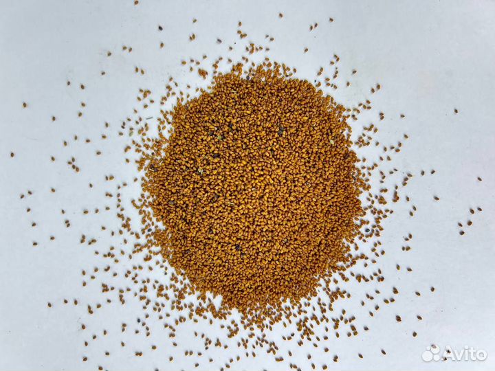 Рыжей / Рыжик / Семена рыжика