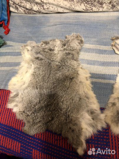 Шкура кролика