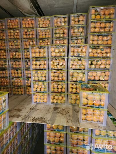 Овощи фрукты свежие Доставка до дома