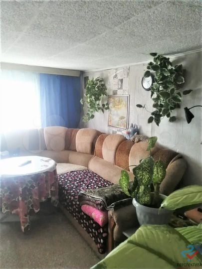 Дом 40,3 м² на участке 33,9 сот.