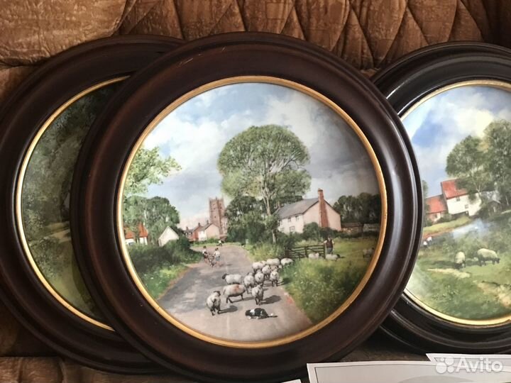 Тарелка по следам полиции