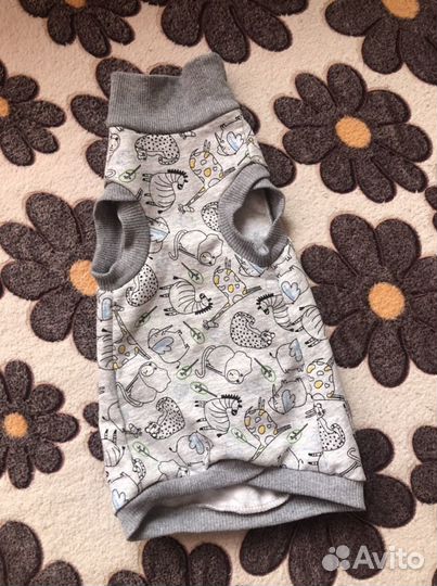 Одежда для собак