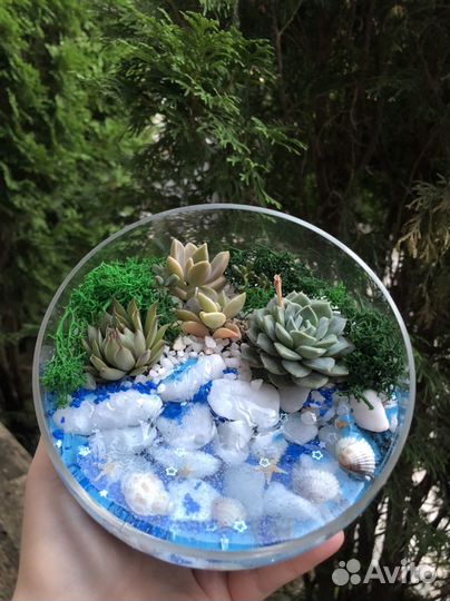 Флорариум с эффектом воды