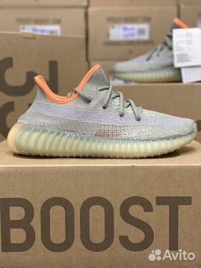 Yeezy Boost 350 V2 Desert Sage