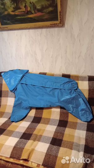 Дождевик для крупной собаки