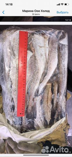 Минтай с/м б/г