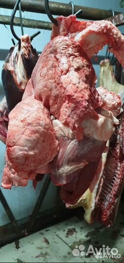 Корма для собак (печень, лёгкое, селезёнки)