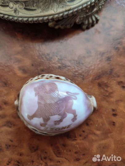 Ракушка с рисунком Знак Зодиака Лев