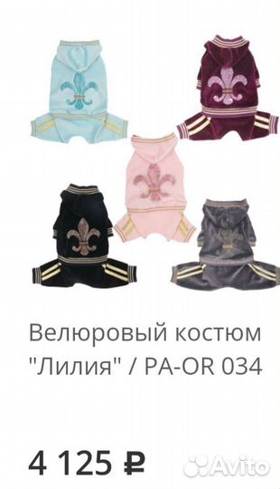 Велюровый костюм Puppy Angel,S р