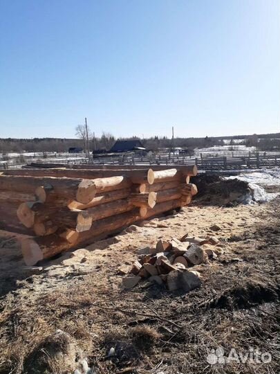 Срубы из зимнего леса