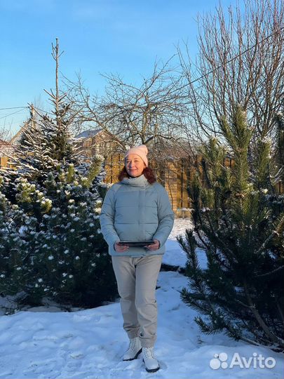 Фэн Шуй аудит