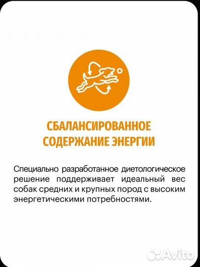 Корм сухой для собак karmy Active Medium 2 кг