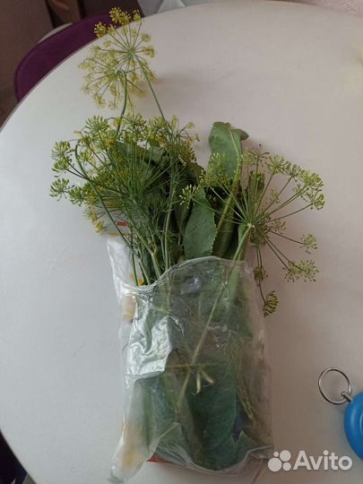 Огурцы, в наличии 10кг