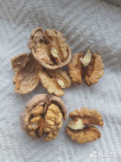 Орехи грецкие