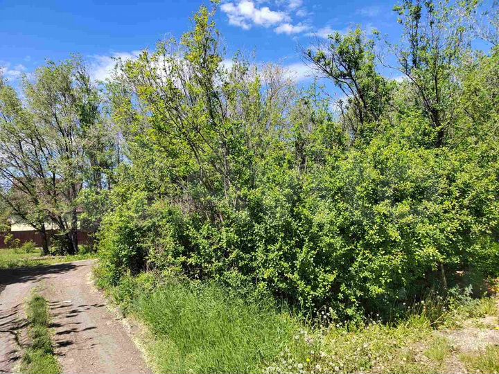 Участок 5,3 сот. (СНТ, ДНП)