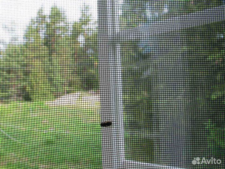 Москитная сетка для кошек RAL1052