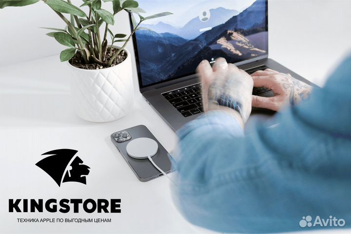 Готовый бизнес kingstore