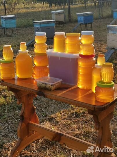 Продам Мёд
