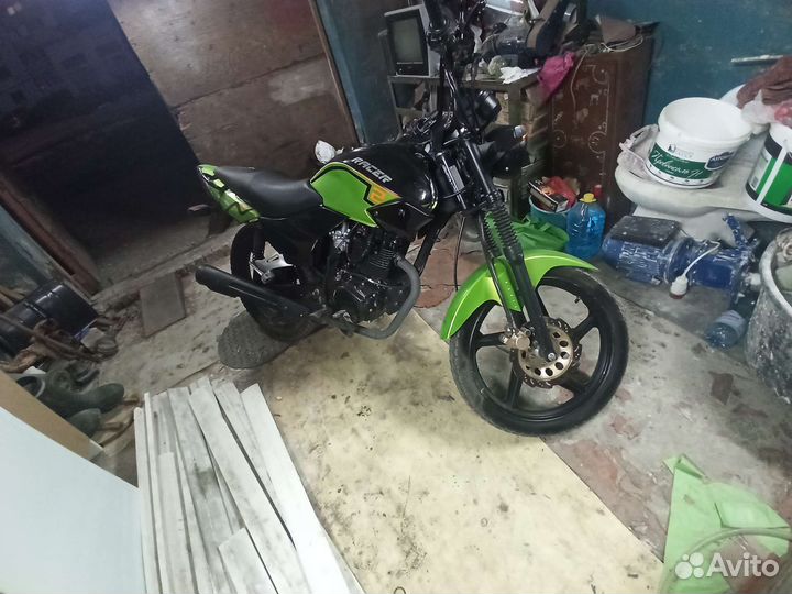 Racer RK150-23 tiger