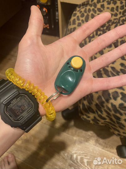 Кликер для дрессировки собак